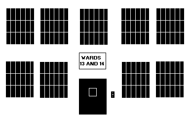 Image of the Disturbed Wards